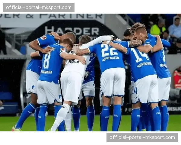 汉堡对阵霍芬海姆，客队成为欧联资格有力竞争者